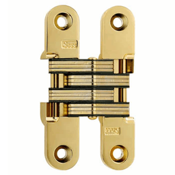 212 Invisible 180° Opening Hinge, Bright Brass Main - Image