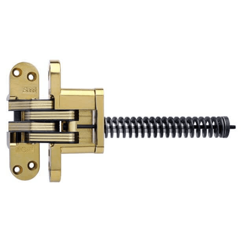 2" 220IC Invisible Closer Hinge, Satin Brass Main - Image