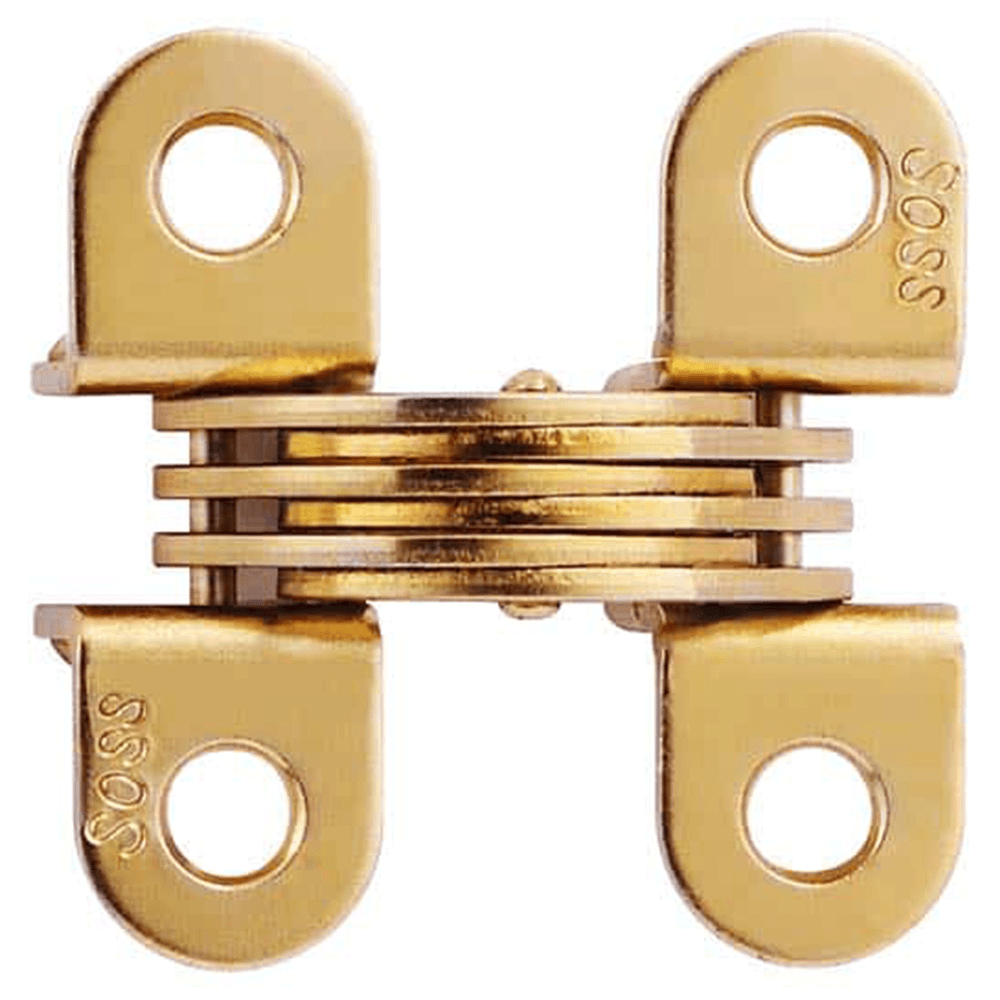 314 Invisible Hinge, Satin Brass Main - Image