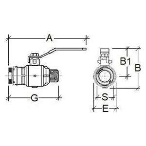 20mm x 1/2" MNPT Ball Valve Alt 1 - Image