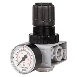 1/4" NPT Regulator Main - Image