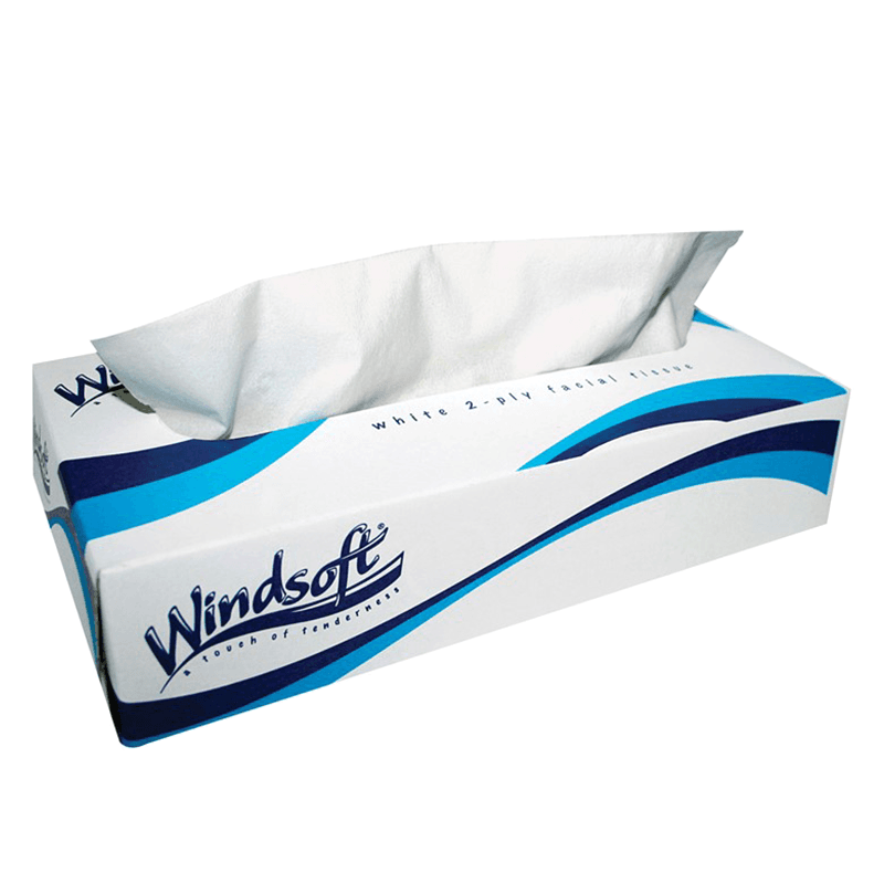Northern Safety's Windsoft Tissue - 100 Sheets Per Box, 30 Boxes Per Case