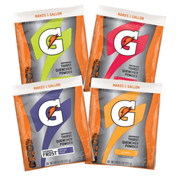 Gatorade Fruit Punch Drink Mix Powder Pack - 1 Gallon - Northern Safety