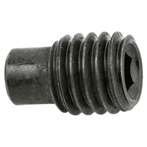 Hex Screw M5 x 6mm
