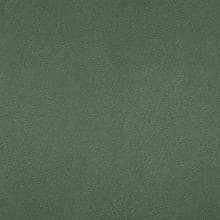 Nevamar Laminate Color AL5002 BotanicalAllusion