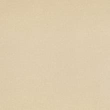 Pionite Laminate Color AV751 Celery Fiber