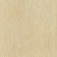 Formica Laminate Color 8910 Raw Birchply