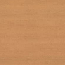 Pionite Laminate Color WC431 Millwork Cherry