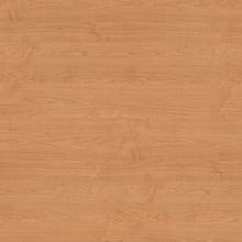 Pionite Laminate Color WM951 Honey Maple