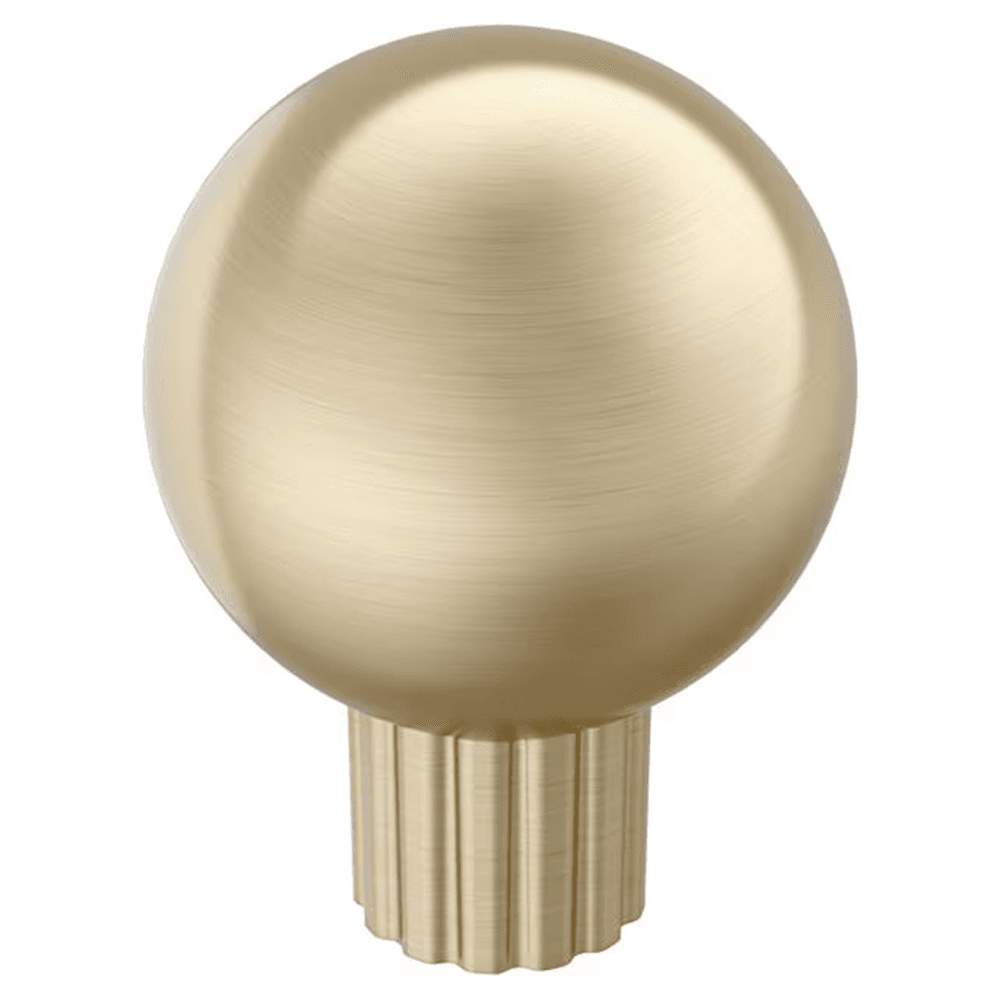 29mm Cowrie Cabinet Knob, Golden Champagne