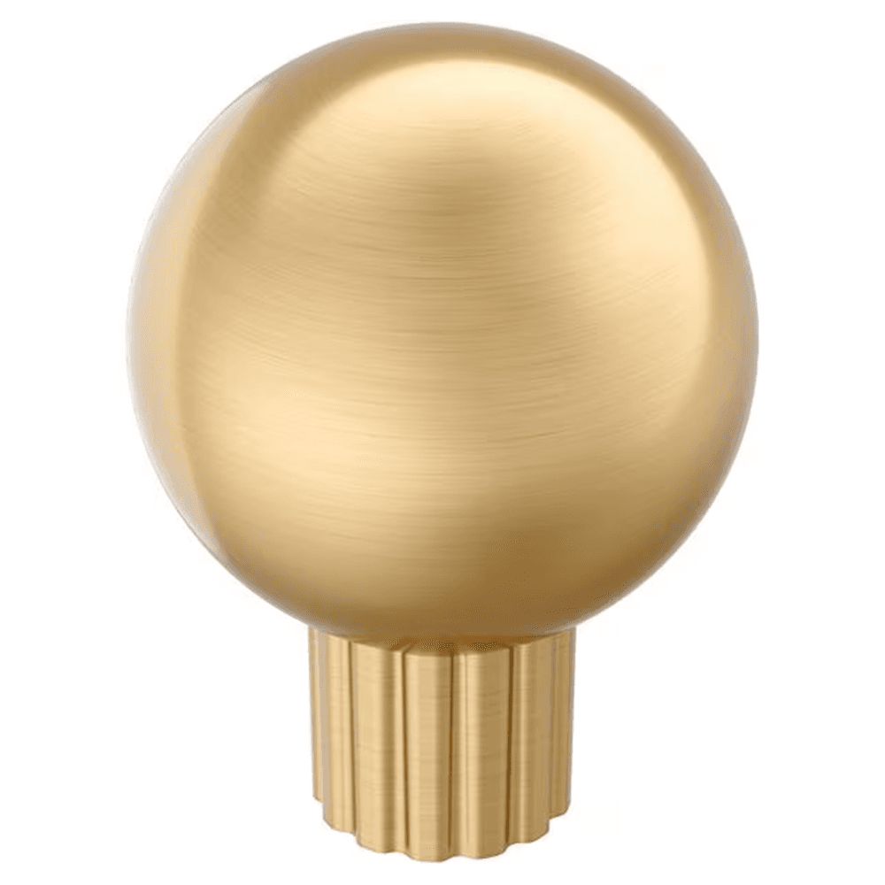 29mm Cowrie Cabinet Knob, Champagne Bronze