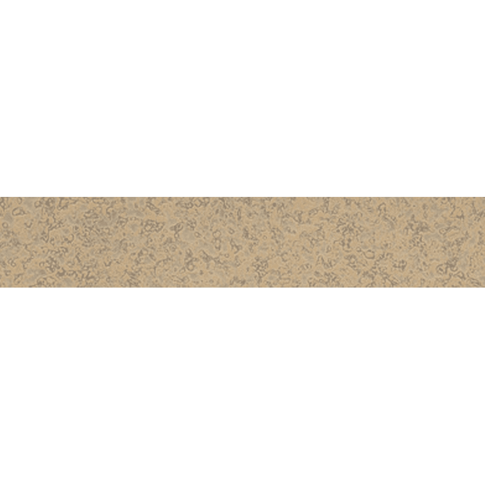 Doellken PVC Edgebanding, 6280 Mission Sand, 0.018" Thick, 15/16" x 600' Roll