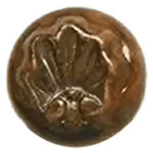 1-3/4" Shell Small Wood Knob, Linden