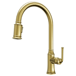 Auburn One-Handle Pull Down Dual Function Sprayer Kitchen Faucet, Brushed Gold