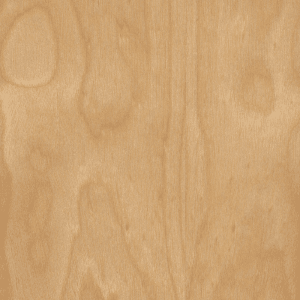 Real Wood Veneer Sheet, 0.025" Thick 48" x 96", White Birch