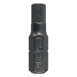 1" Hex Tamper Proof Drive Insert Bit, 3/16" Shank (100/Pack)