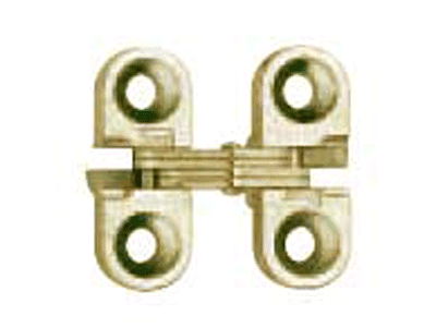 100 Invisible Light Duty 180° Opening Hinge, Satin Brass