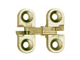 100 Invisible Light Duty 180° Opening Hinge, Satin Brass