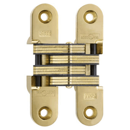 216 Invisible 180° Opening Hinge, Bright Brass