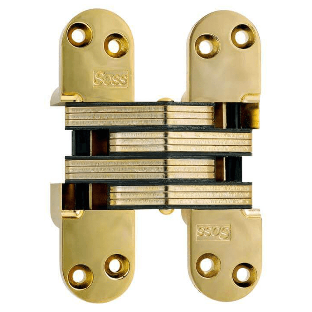 220 Invisible Hinge, Bright Brass