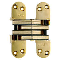 220 Invisible Hinge, Bright Brass