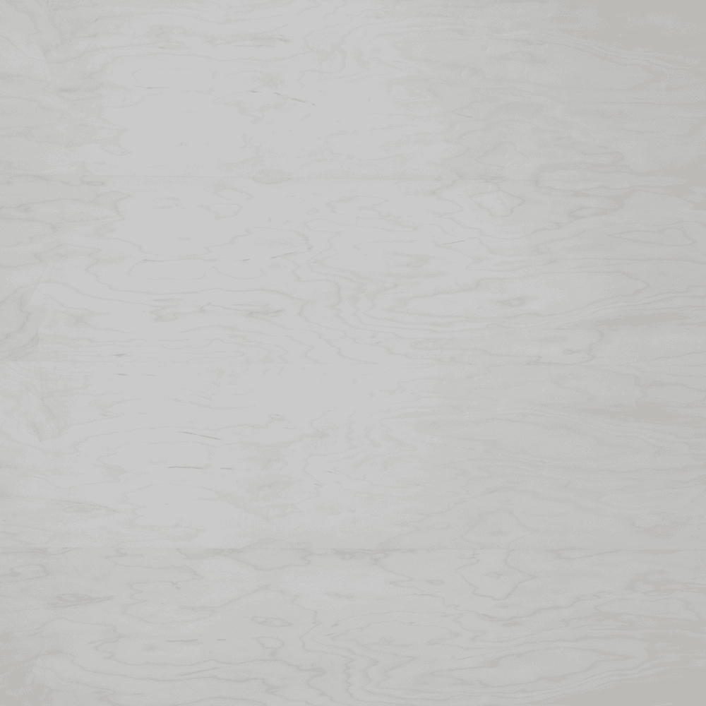 FalconPLY™ White Maple Domestic Plywood, C/2 Grade w/ 3/4" Veneer Core, UV Finish Both Sides, 4' x 8'