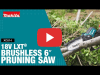 Video: 18V LXT Brushless 6" Pruning Saw (XCU14)