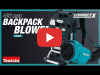 Video: 40V ConnectX™ Brushless Backpack Blower (CBU04)