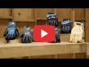 Video: MAKITA High Performance Gloves