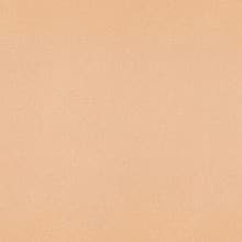 Nevamar Laminate Color AL2002 Golden Allusion