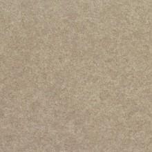 Nevamar Laminate AL5001-T Herbal Allusion, Horizontal Postforming Grade ARP Finish, 60" x 144"