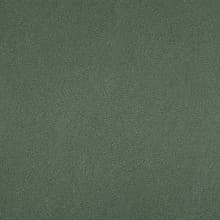 Nevamar Laminate Color AL5002 BotanicalAllusion