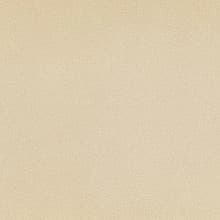 Pionite Laminate Color AV751 Celery Fiber