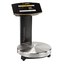 Sartorius Evolution Scale