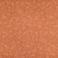 Nevamar Laminate Color FN1002 Copper Fusion.2