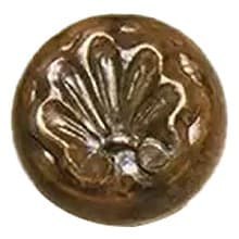 1-3/4" Shell Large Wood Knob