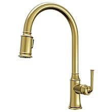 Auburn One-Handle Pull Down Dual Function Sprayer Kitchen Faucet, Brushed Gold