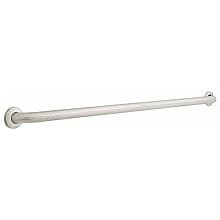 Centurion 48" x 1-1/2" Concealed Screw Grab Bar, Stainless Steel