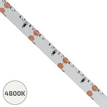 12V 41W Edge Emitting FlexTape LED Strip Light, 16.4' Roll, White