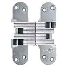 2" 220AS Alloy Steel Invisible Hinge