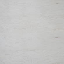 FalconPLY™ White Maple Domestic Plywood, C/2 Grade w/ 3/4" Veneer Core, UV Finish Both Sides, 4' x 8'