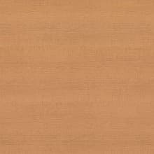 Pionite Laminate Color WC431 Millwork Cherry