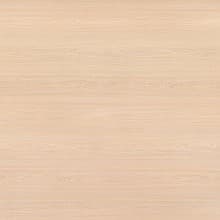 Pionite Laminate Color WE261 White Elm