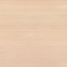 Pionite Laminate Color WE261 White Elm