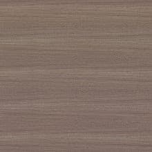 Pionite Laminate Color WO095 Ornate Oak