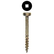 Wurth Fillister Head Face Frame/Pocket-Hole Screws, Square Drive Hilo Thread and Type 17 Auger Point