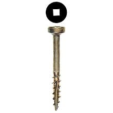 Wurth Fillister Head Face Frame/Pocket-Hole Screws, Square Drive Fine Thread and Type 17 Auger Point