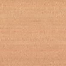 Pionite Laminate Color WX041 Anigre