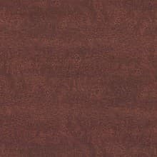 Nevamar Laminate Color WZ0017 Galloway Burl