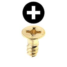 #6 x 1" Pan Head Hinge/Drawer Slide Screw, Phillips Drive Coarse Thread and Type 17 Auger Point, Antique Brass, Box of 1 Thousand by Youngdale Mfg.